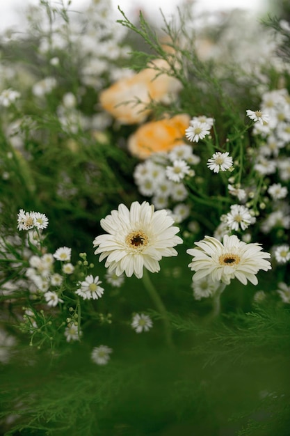 Photo composition florale pour décoration de mariage