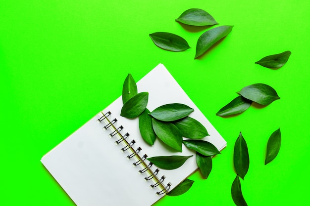 Composition de frais généraux à plat créatif avec bloc-notes vide et belles feuilles d'eucalyptus sur fond greenl. Modèle de carte de voeux. Sauvez le concept de la planète.