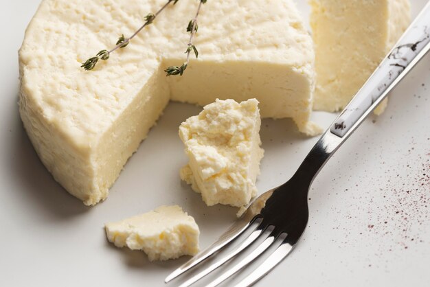 Photo composition de fromage paneer traditionnel