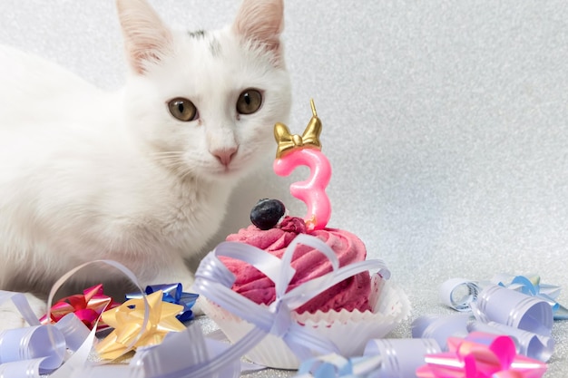 Composition de gâteau rose avec chat numéro trois dedans et fond argenté brillant