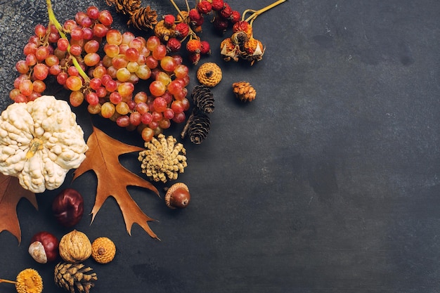 Photo composition d'haloween ou d'action de grâces avec citrouille décorative feuilles d'automne cônes et raisins vue de dessus espace pour le texte