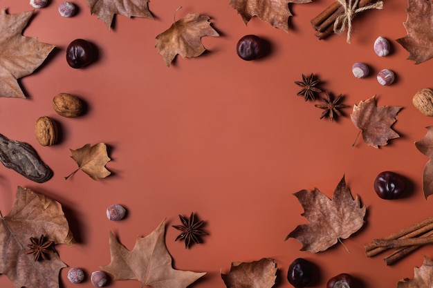 Composition de jour d'action de grâces d'automne automne avec des feuilles séchées décoratives