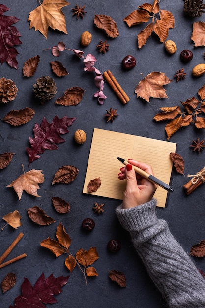 Composition de jour d'action de grâces d'automne automne avec des feuilles séchées décoratives