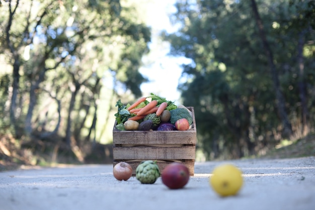 Composition de légumes biologiques frais