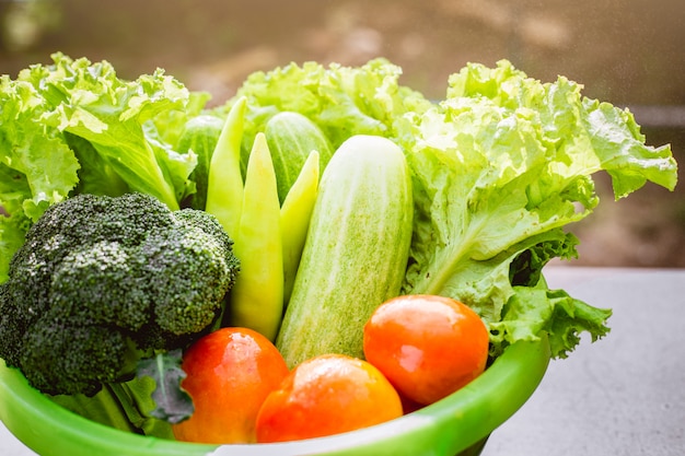 Composition avec des légumes en cuvette.