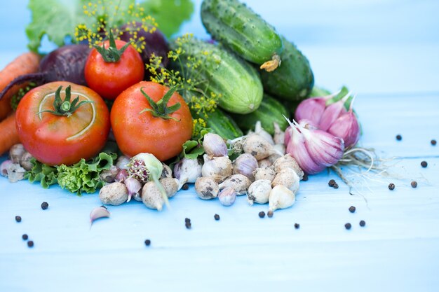 Composition des légumes traditionnels russes. Vue de dessus.