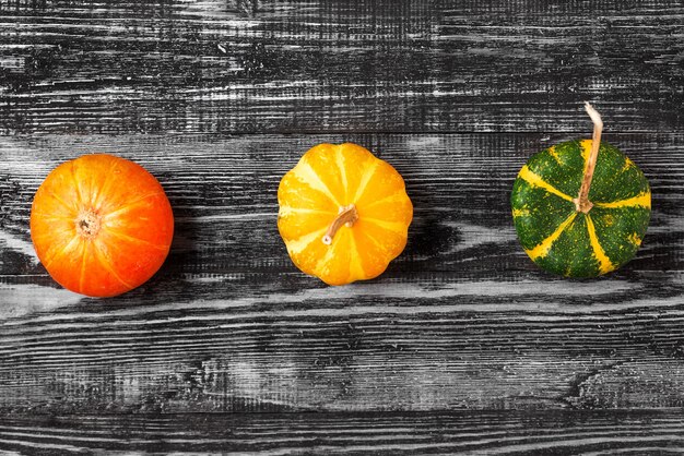 Composition minimaliste d'automne avec des citrouilles