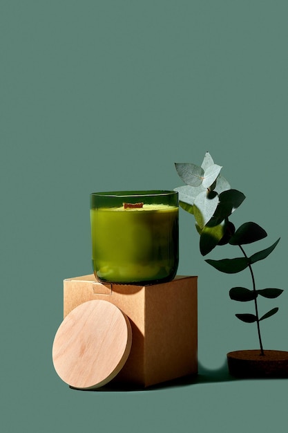 Composition minimaliste créative avec une bougie avec eucalyptus sur un fond vert