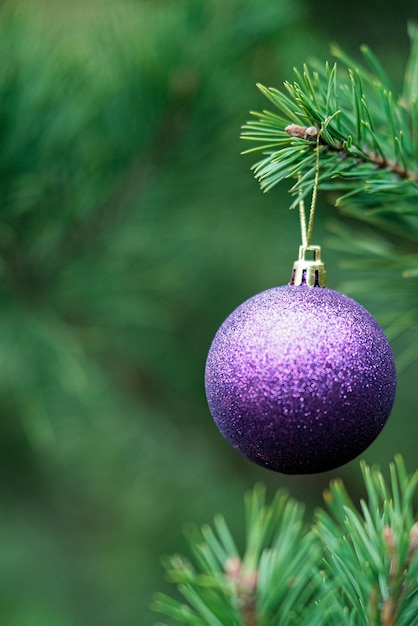 Composition de Noël Boule violette sur une branche d'arbre de Noël