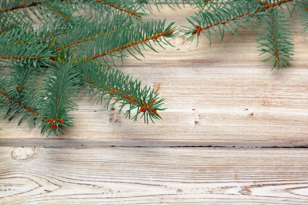 Composition de Noël avec des branches de sapin sur bois