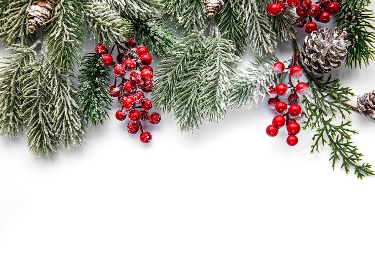 Photo composition de noël. branches de sapin, décorations rouges sur blanc