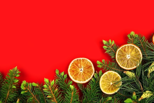 Composition de Noël et du nouvel an avec des oranges sèches et des branches de sapin