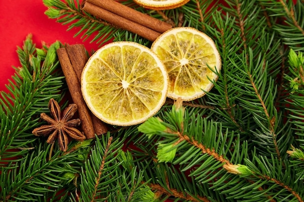 Composition de Noël et du nouvel an avec des oranges sèches, des épices et des branches de sapin