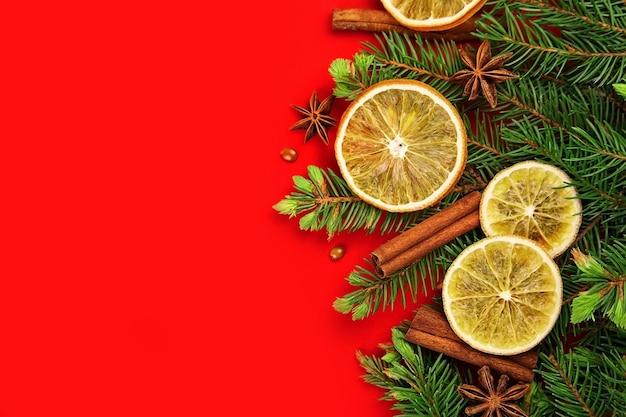 Composition de Noël avec des oranges sèches et des branches d'arbres