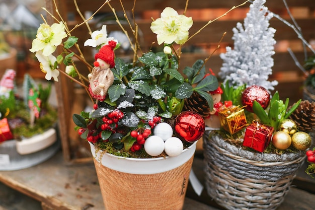 Composition de Noël avec des plantes en pot