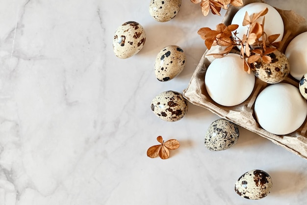 Composition avec des oeufs de Pâques et des branches sur fond witeCarte postale