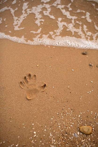 Composition paisible d'eau et de sable