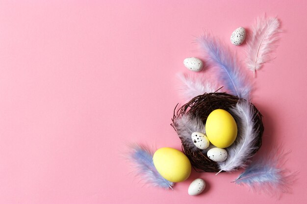 Composition de Pâques des oeufs et des plumes peints sur un fond coloré