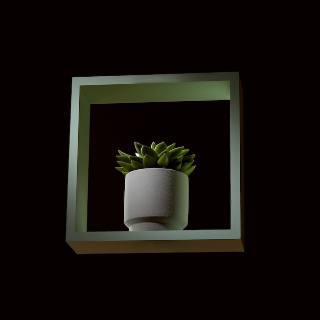 Composition à partir d'un cadre en bois vert et d'echeveria succulentes dans un pot de fleurs sur fond sombre. Décoration moderne pour l'intérieur