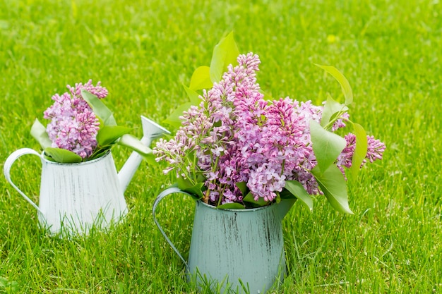 Composition pays jardin de deux lits d'arrosage avec des branches de lilas de printemps sur l'herbe verte de la pelouse.