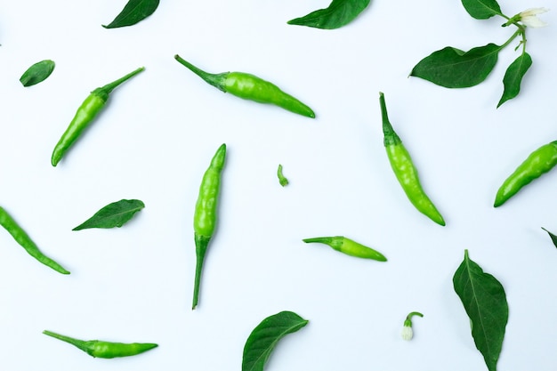 Composition de piment vert frais isolé sur fond blanc