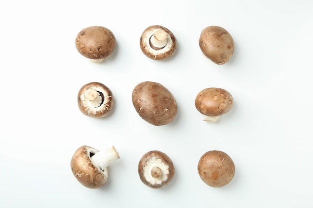 Composition à plat avec champignons sur fond blanc