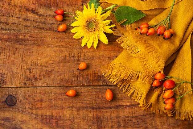 Composition plate avec écharpe tricotée jaune, baies d'églantier et tournesol sur une table en bois. Automne confortable ou le concept de repos hivernal. Place pour le texte, le cadre, la vue de dessus, l'espace de copie, la mise en page