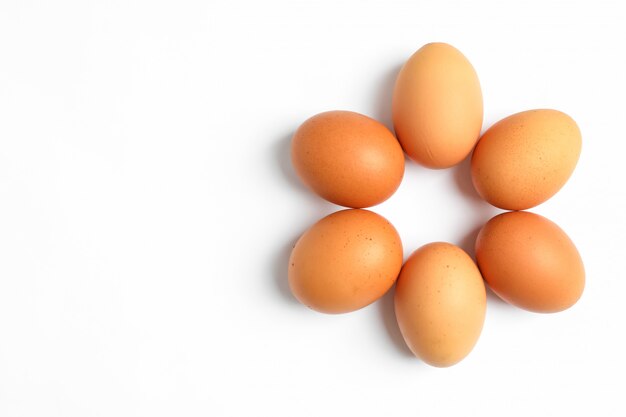 Composition plate avec des œufs de poule sur la couleur