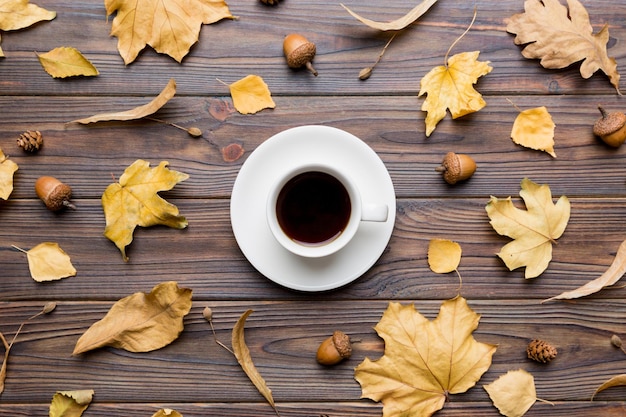Composition plate avec une tasse de café et des feuilles d'automne colorées sur un fond coloré vue supérieure