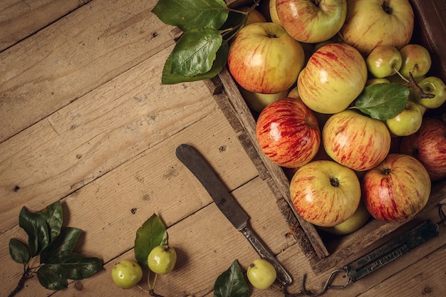 Composition avec des pommes fraîches sur une vieille table. photo tonique