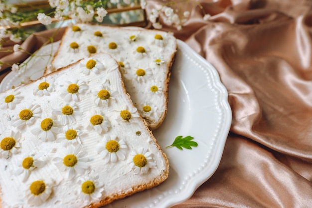 Composition de printemps, sandwich au pain grillé avec des fleurs de camomille