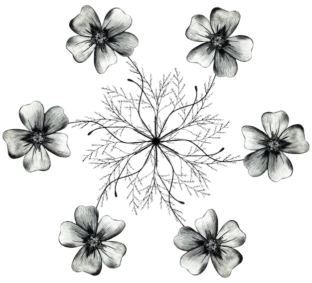 Composition ronde de fleurs de souci dessinées à la main en noir et blanc