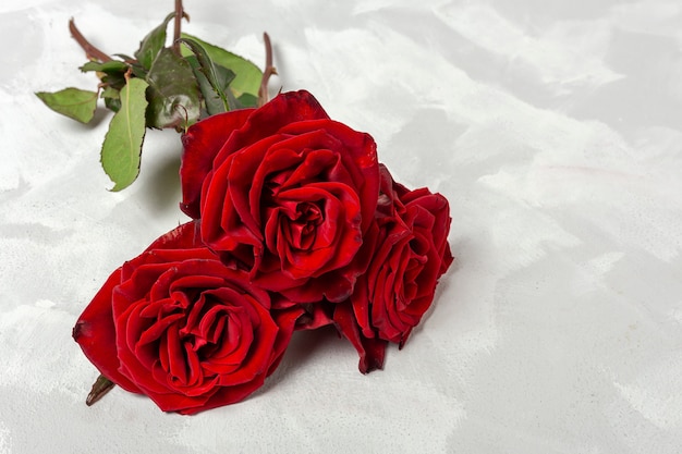 Composition de roses rouges et de coffrets cadeaux