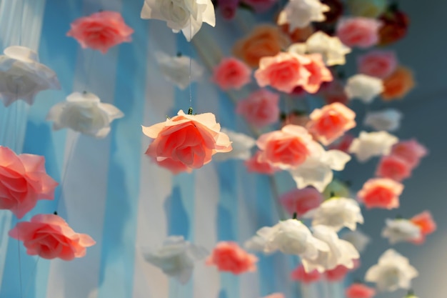 Une composition spatiale artistique de fleurs roses suspendues dans les airs