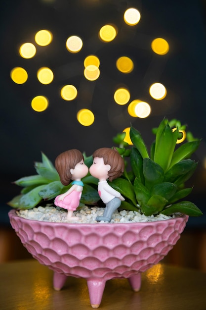 Photo composition de succulentes et mini-sculptures d'une fille et d'un garçon s'embrassant ou amoureux bokeh jaune o