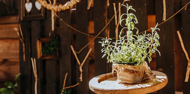 Photo composition de table de cuisine rustique en bois à l'extérieur avec décor de plantes, légumes. maison de campagne en été