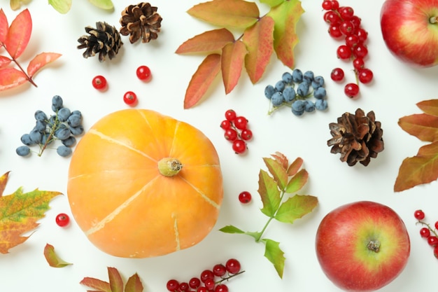 Composition de Thanksgiving Day avec citrouille sur fond blanc