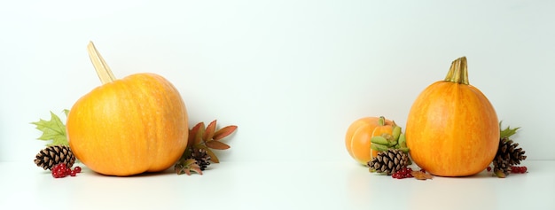 Composition de Thanksgiving Day avec des citrouilles sur un tableau blanc