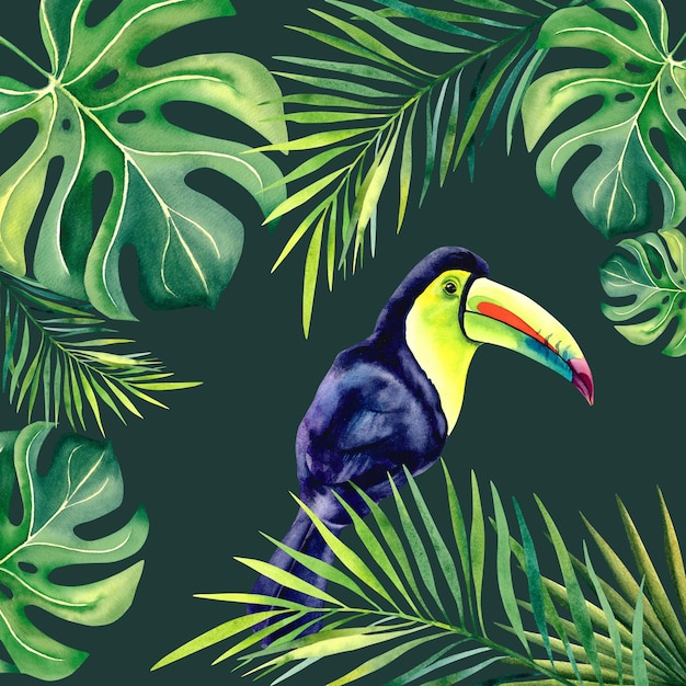 Une composition avec un toucan arc-en-ciel sur un fond isolé Un oiseau exotique Les tropiques Branche de palmier Monstera Illustration aquarelle