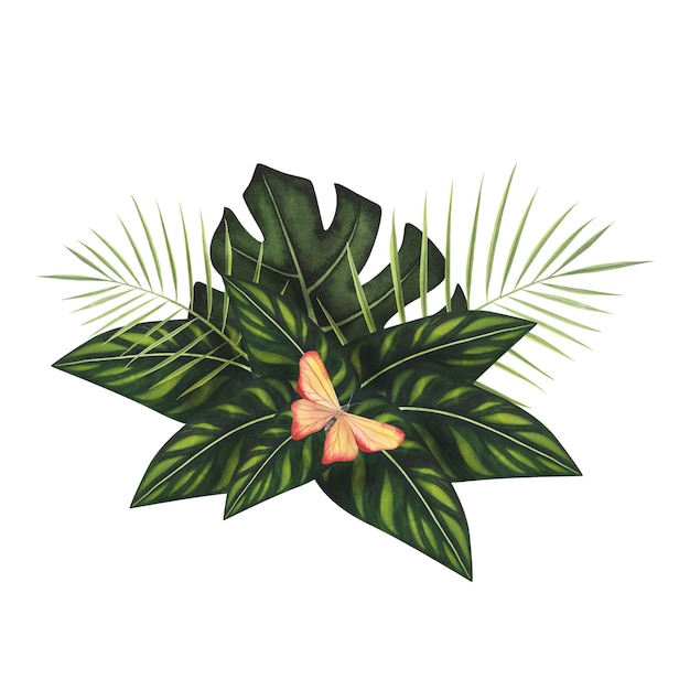 Composition Tropic laisse avec aquarelle papillon isolé sur blanc Illustration botanique dessinée à la main aquarelle