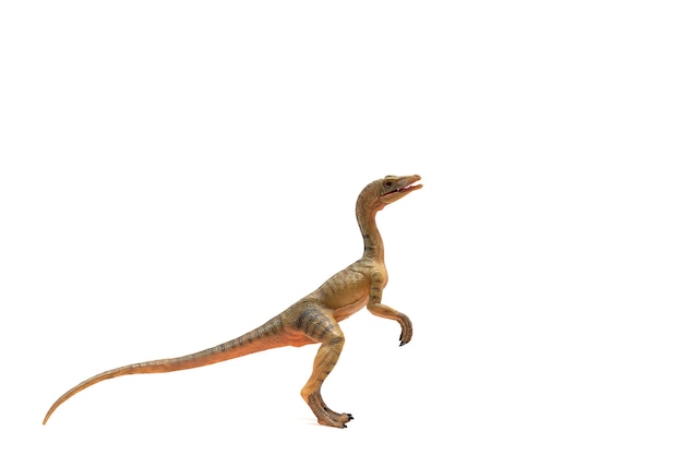 Compsognathus