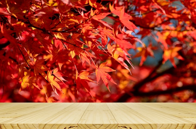Comptoir en bois perspective avec jardin d&#39;érables japonais entièrement rouge en automne