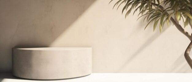 Le comptoir moderne en marbre blanc minimal est le palmier du dessus de la table à l'ombre des feuilles de soleil.