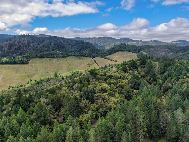 Comté de Napa dans la région viticole de Californie faisant partie de la région de North Bay à San Francisco