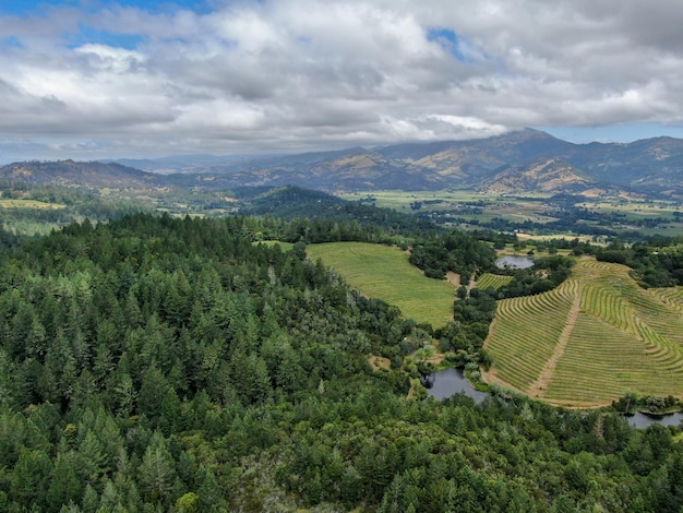 Comté de Napa dans la région viticole de Californie