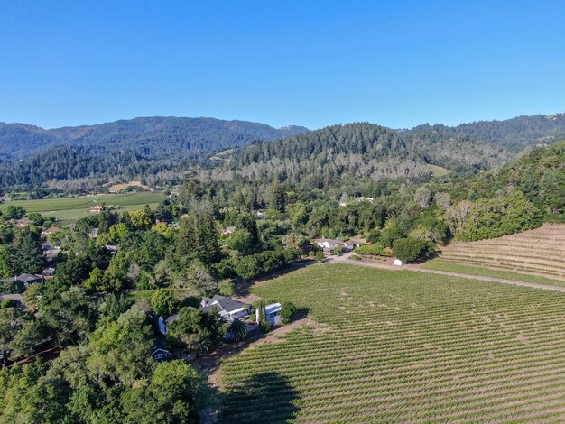 Comté de Napa dans la région viticole de Californie