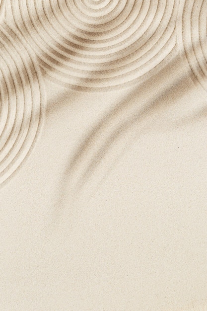 Concentration et spiritualité dans les lignes de jardin zen dessinant dans le sable et les ombres des feuilles de palmier