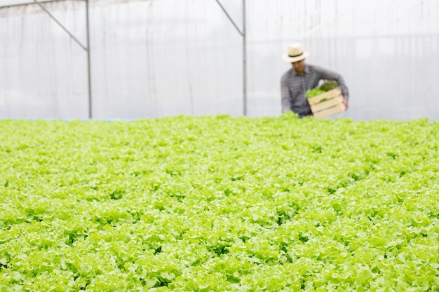 Photo concentrez-vous sur les légumes devant avec en toile de fond les agriculteurs ramassent des légumes biologiques