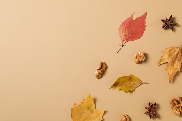 Concept d'accessoires de composition automne automne sur fond beige