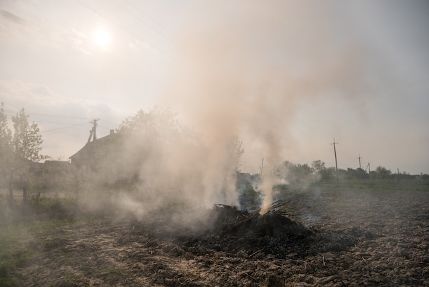 Concept agricole. Tas brûlant de maïs sec